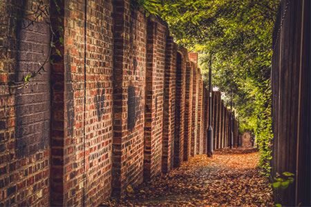 Aislamiento Acústico para Jardines. Vallas, Setos, Paneles.. ¡DESCÚBRELO!